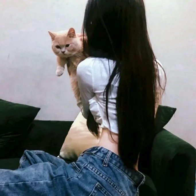 天缘仙魔
