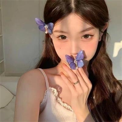 伪装大师2:完美骗局